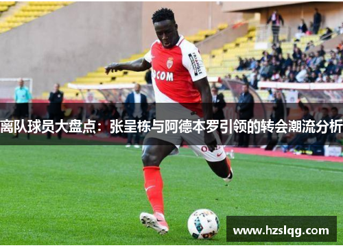 离队球员大盘点：张呈栋与阿德本罗引领的转会潮流分析